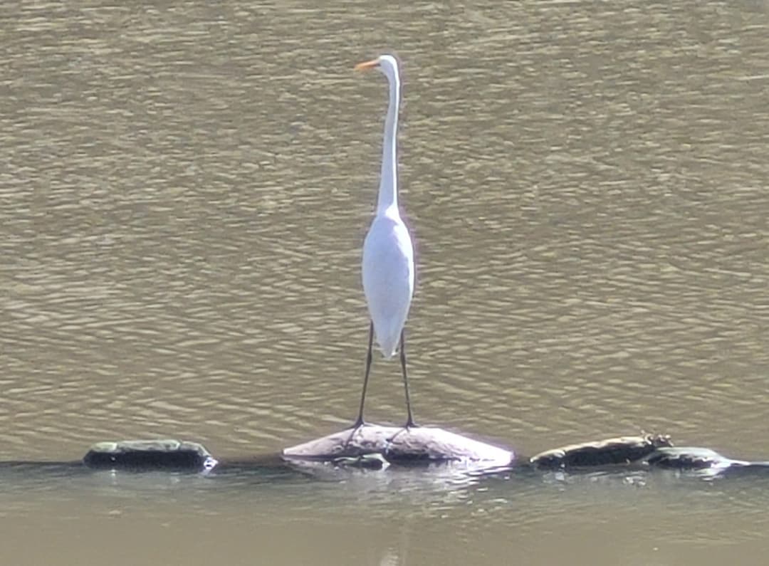 部队医院——一种就业可能？