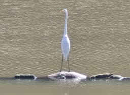 部队医院——一种就业可能？
