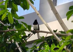 我在昆明，周末的一天