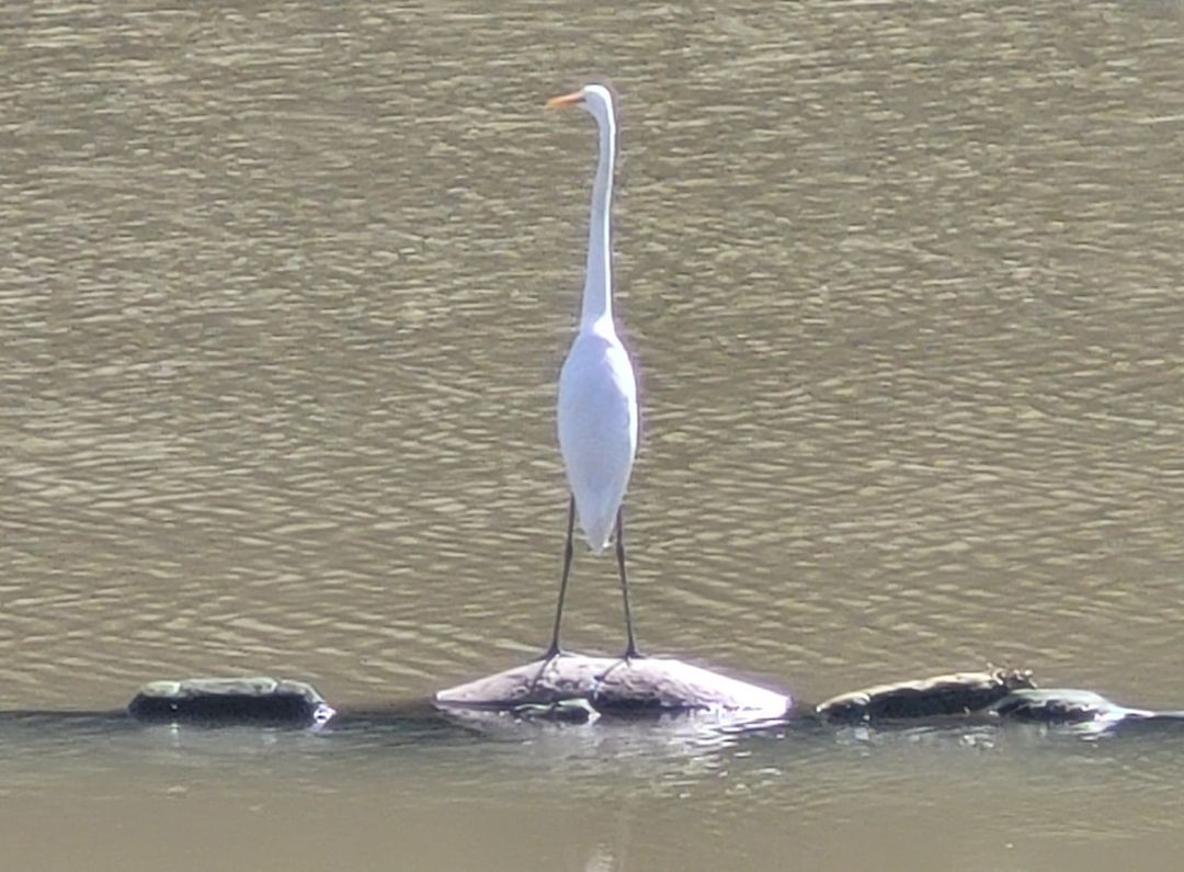 部队医院——一种就业可能？