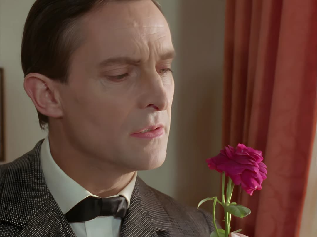 洋蔷薇与造物主——福尔摩斯居然也会安慰人?